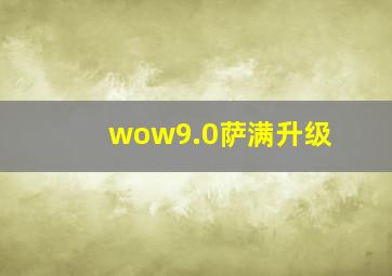 wow9.0萨满升级