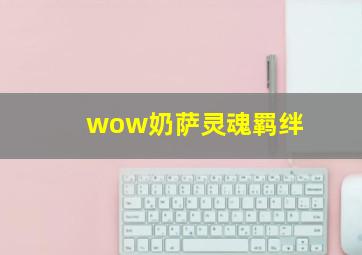 wow奶萨灵魂羁绊