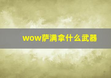 wow萨满拿什么武器