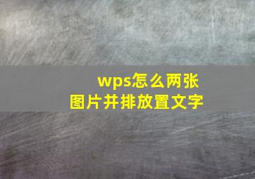 wps怎么两张图片并排放置文字