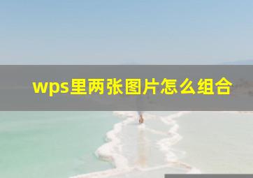 wps里两张图片怎么组合