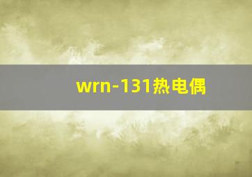 wrn-131热电偶