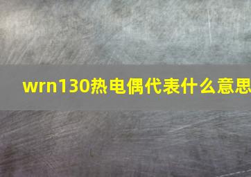 wrn130热电偶代表什么意思