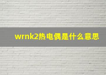 wrnk2热电偶是什么意思