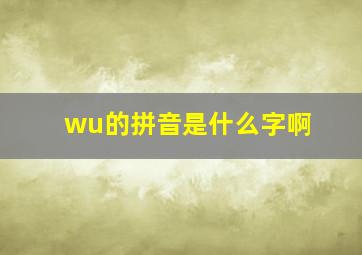 wu的拼音是什么字啊