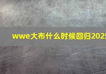 wwe大布什么时候回归2025