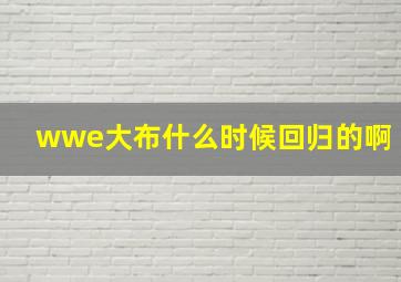 wwe大布什么时候回归的啊