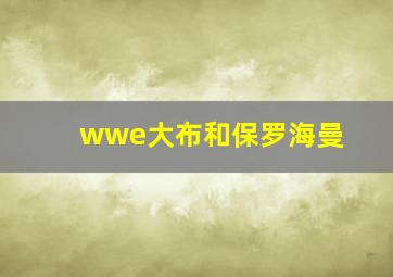 wwe大布和保罗海曼