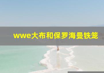 wwe大布和保罗海曼铁笼