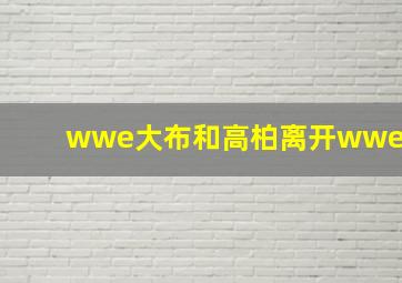 wwe大布和高柏离开wwe