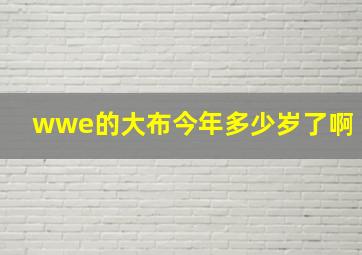 wwe的大布今年多少岁了啊