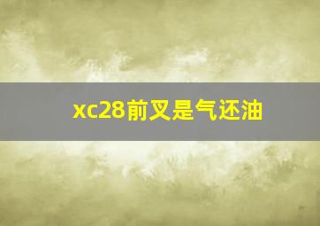 xc28前叉是气还油