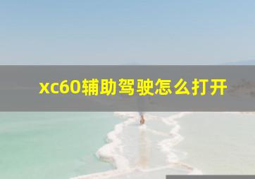 xc60辅助驾驶怎么打开