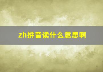 zh拼音读什么意思啊