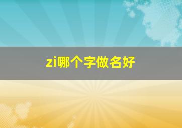 zi哪个字做名好