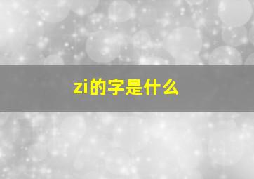 zi的字是什么