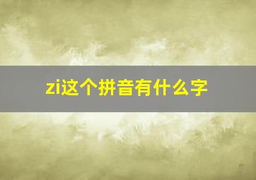 zi这个拼音有什么字