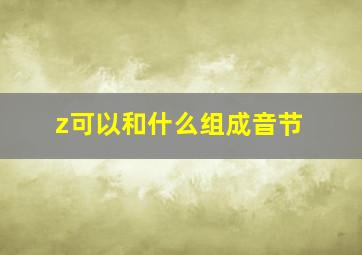 z可以和什么组成音节