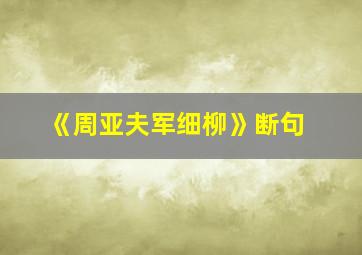 《周亚夫军细柳》断句