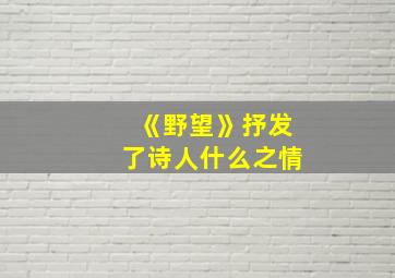 《野望》抒发了诗人什么之情