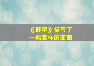 《野望》描写了一幅怎样的画面