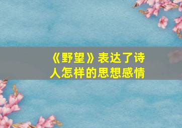 《野望》表达了诗人怎样的思想感情