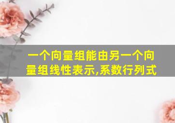 一个向量组能由另一个向量组线性表示,系数行列式