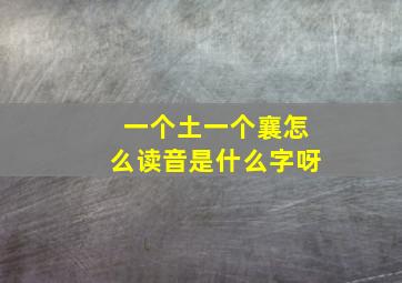 一个土一个襄怎么读音是什么字呀