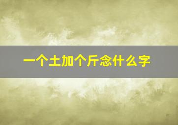 一个土加个斤念什么字