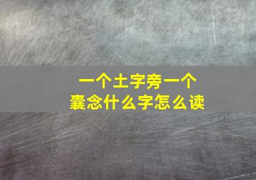 一个土字旁一个囊念什么字怎么读