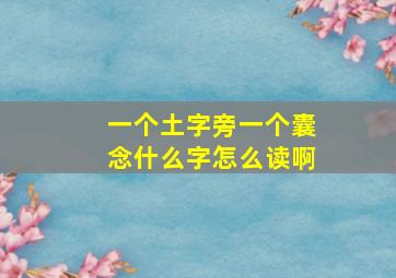 一个土字旁一个囊念什么字怎么读啊