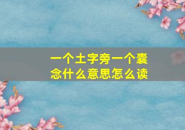 一个土字旁一个囊念什么意思怎么读