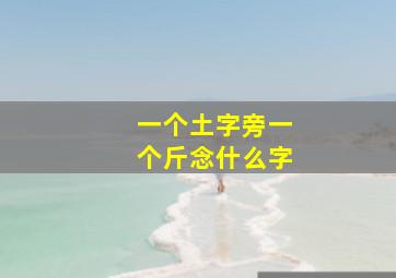 一个土字旁一个斤念什么字