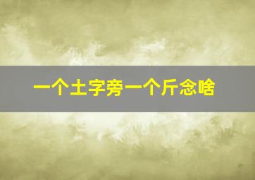 一个土字旁一个斤念啥