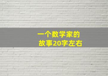 一个数学家的故事20字左右