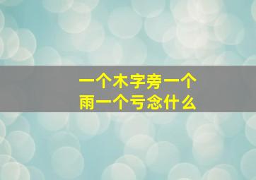 一个木字旁一个雨一个亏念什么