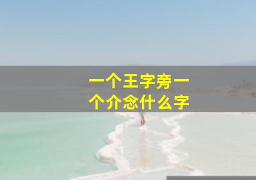 一个王字旁一个介念什么字