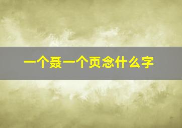 一个聂一个页念什么字