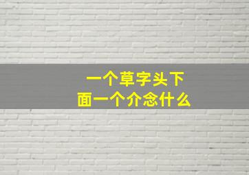 一个草字头下面一个介念什么