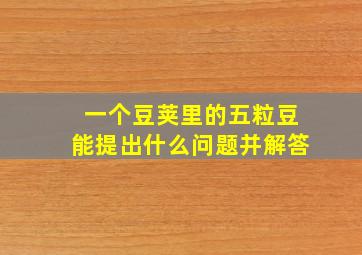 一个豆荚里的五粒豆能提出什么问题并解答