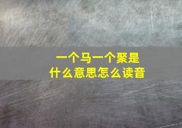 一个马一个聚是什么意思怎么读音