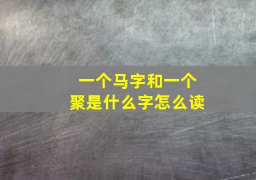 一个马字和一个聚是什么字怎么读