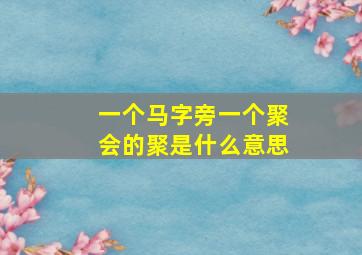 一个马字旁一个聚会的聚是什么意思