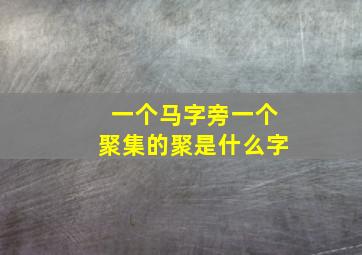 一个马字旁一个聚集的聚是什么字