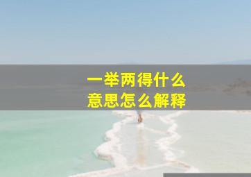 一举两得什么意思怎么解释