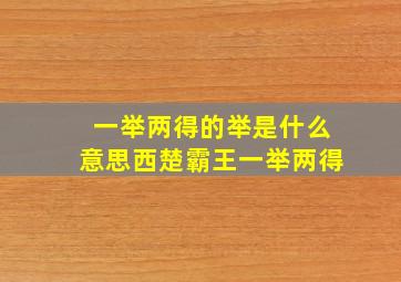 一举两得的举是什么意思西楚霸王一举两得