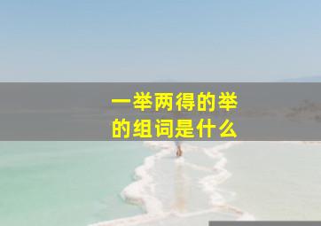 一举两得的举的组词是什么