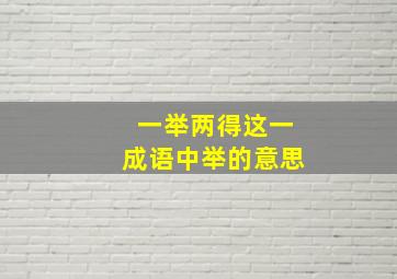 一举两得这一成语中举的意思