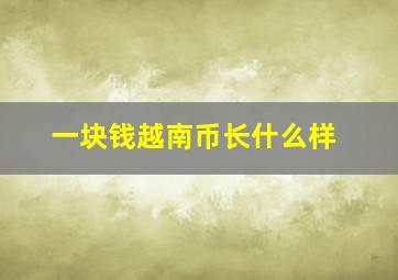 一块钱越南币长什么样