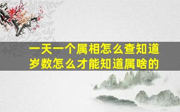 一天一个属相怎么查知道岁数怎么才能知道属啥的